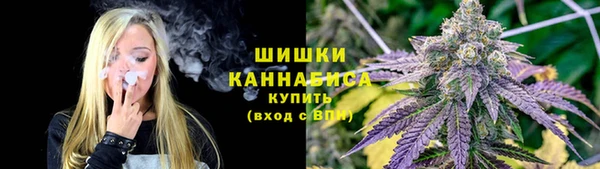 2c-b Мегион