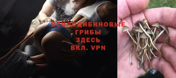 марки nbome Медвежьегорск