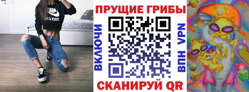 где продают   Тюмень  Псилоцибиновые грибы Magic Shrooms 