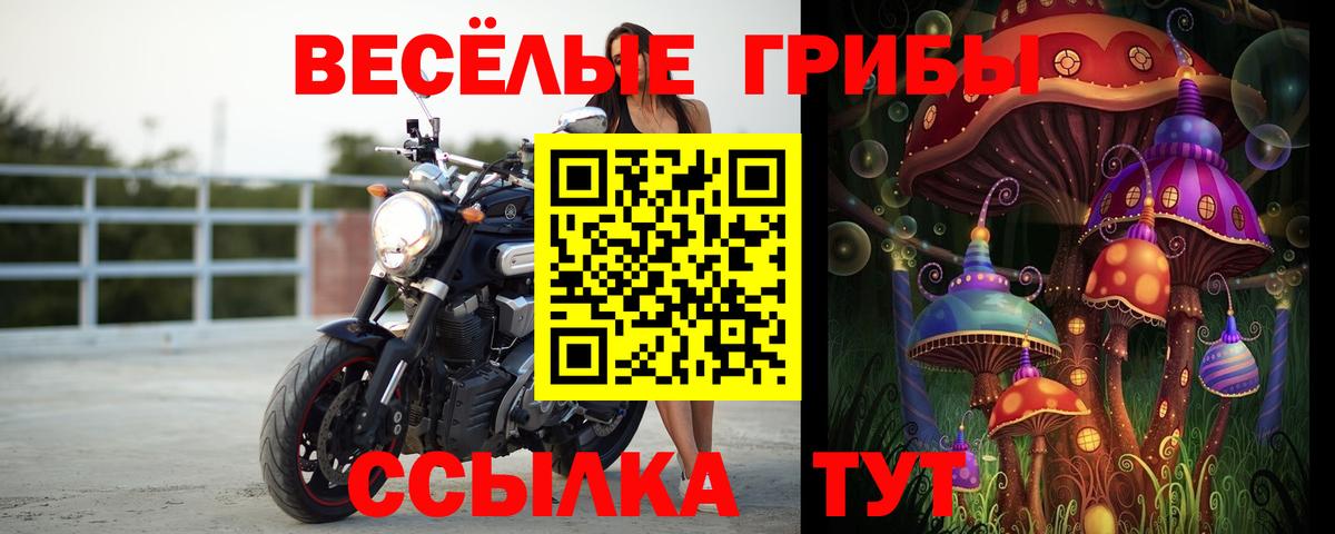 Псилоцибиновые грибы ЛСД Тюмень